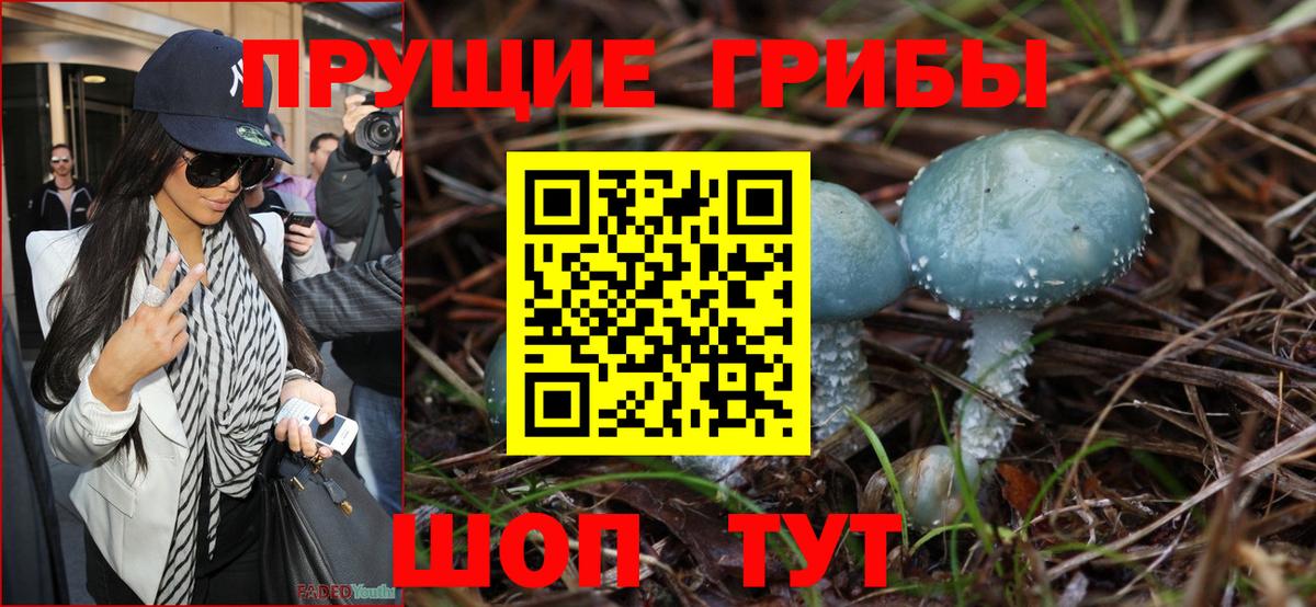 Псилоцибиновые грибы ЛСД Костомукша